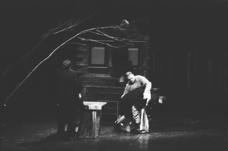 A Párizsi Jel Színház előadása: A hét rinocéroszbőr