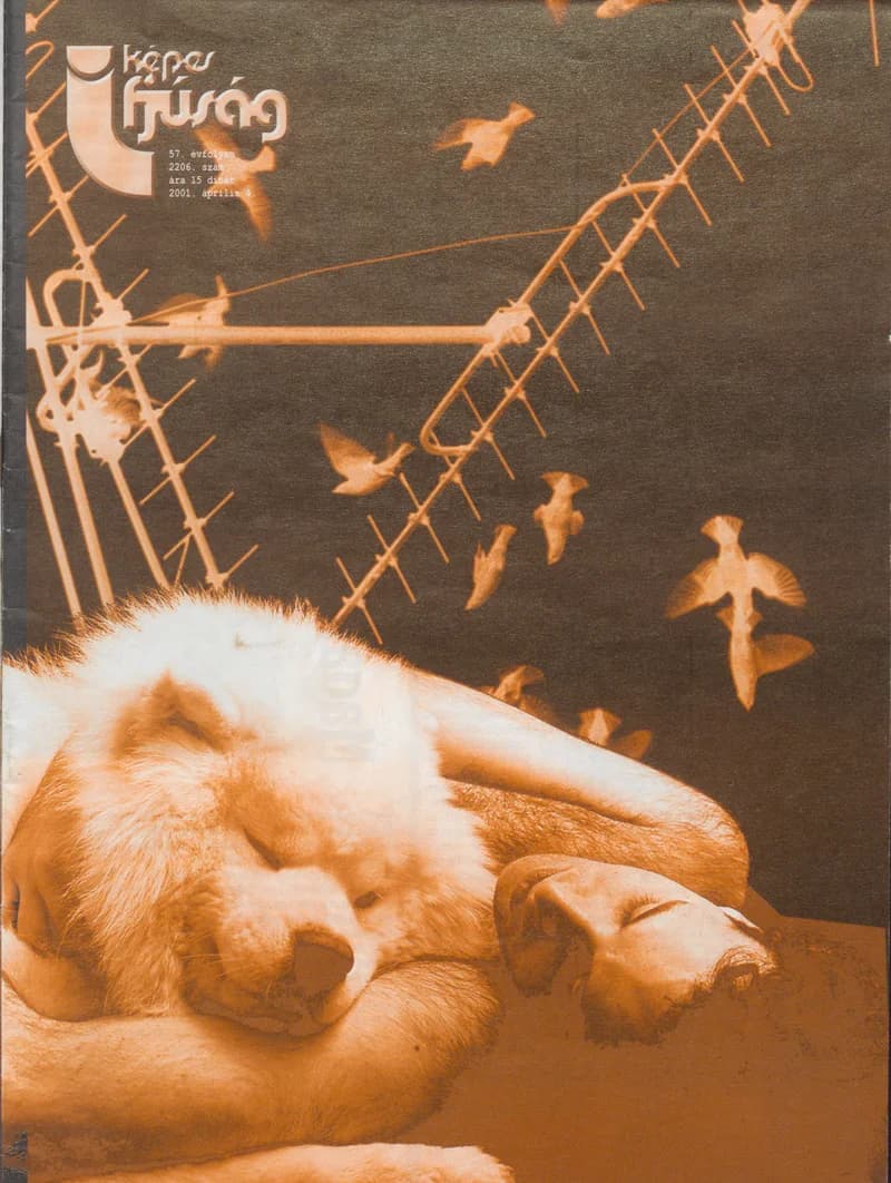 Képes Ifjúság, 57. évf. 2001. április 4. 2206. sz.