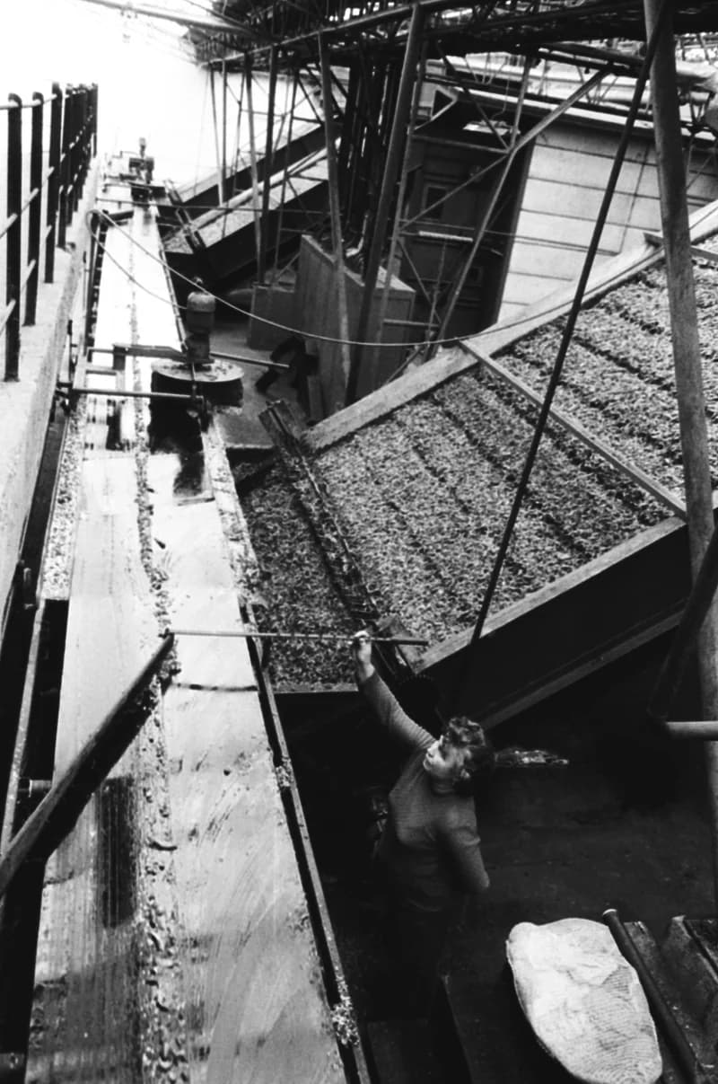 Vitamin Paprikagyár