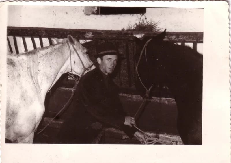 Juhász András a lovaival