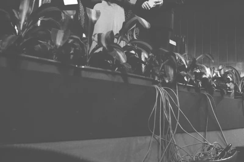 A Dunamenti Országok Népzenei Fesztiválja