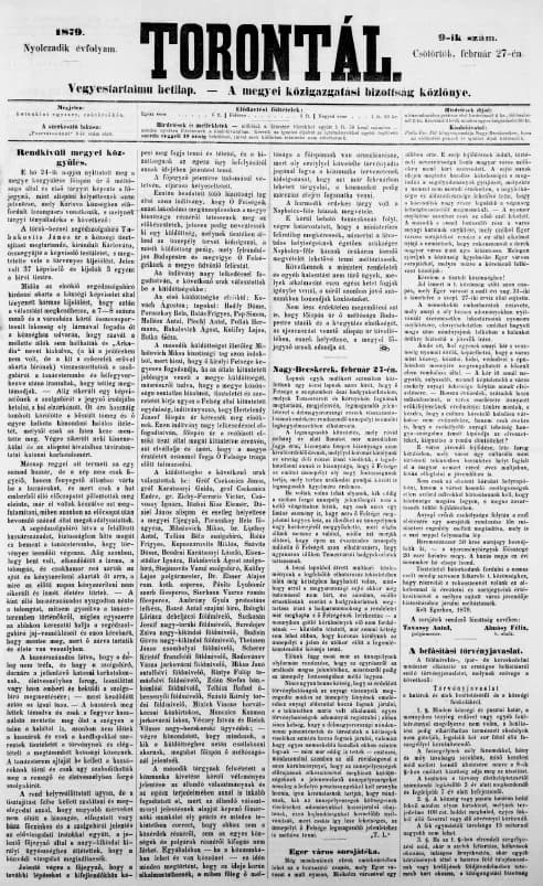 Torontál, 8. évf. 1879. február 27. 9. sz.