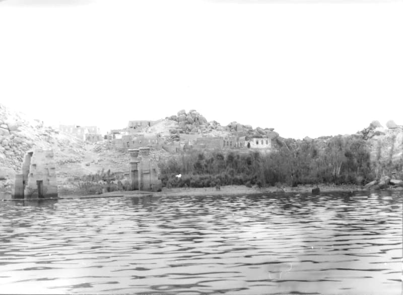 A Fehér család Egyiptomban