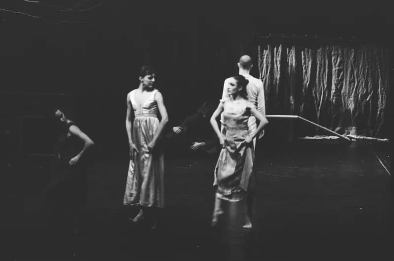 A Párizsi Jel Színház előadása: A hét rinocéroszbőr