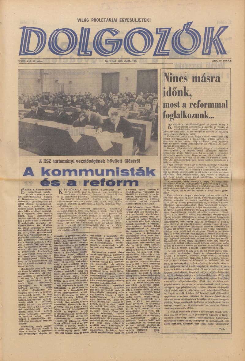 Dolgozók, 19. évf. 1965. október 29. 43. sz.