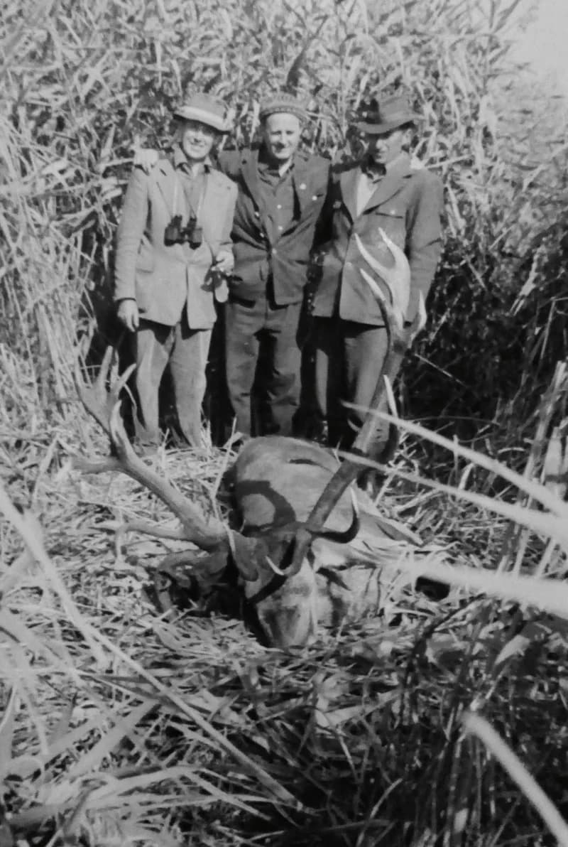 Vadászat a karapancsai erdőben