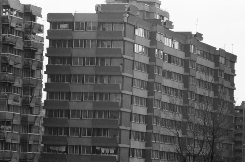 Újvidék, Liman városnegyed