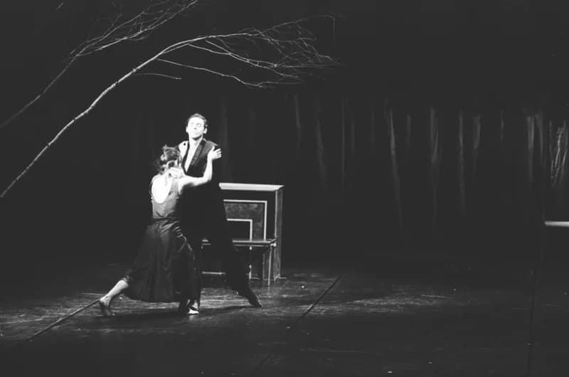 A Párizsi Jel Színház előadása: A hét rinocéroszbőr