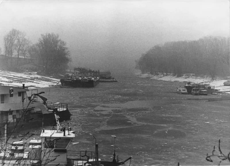 Újvidéki horgász sziget