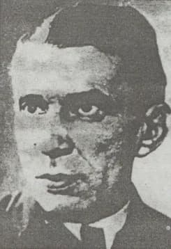 Havas Károly (Handelsmann Károly)