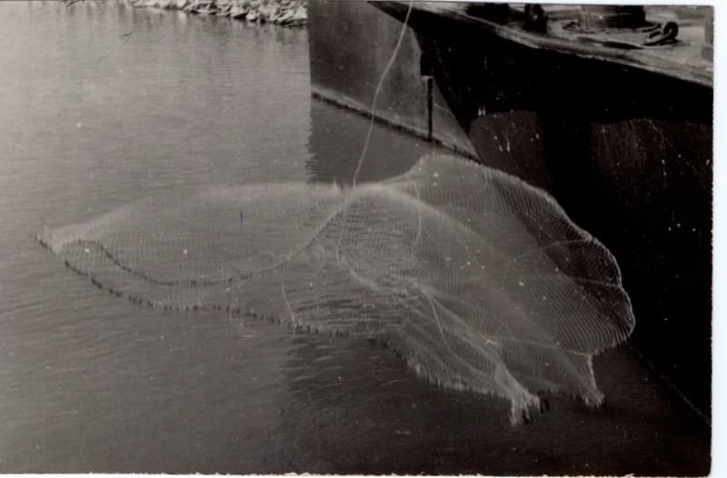 Halászat dobóhálóval