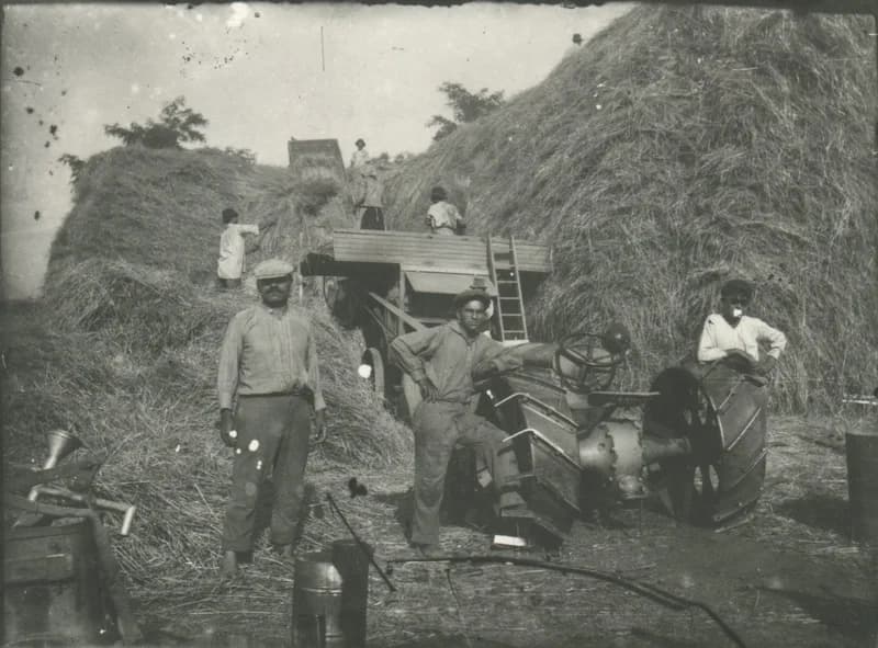 Munkások traktorral