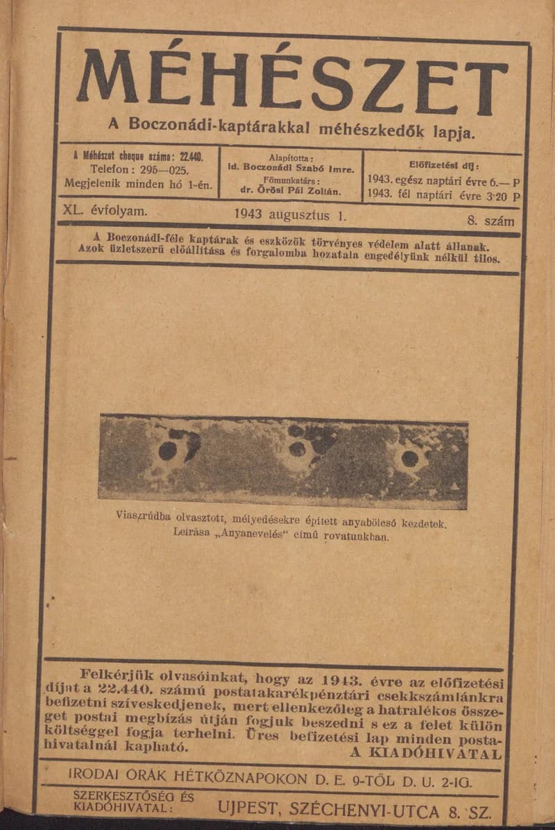 Méhészet, 40. évf. 1943. augusztus 1. 8. sz.