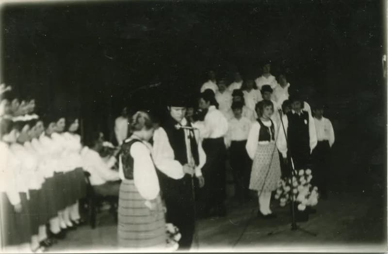 IV. Dél-bánáti Szemle