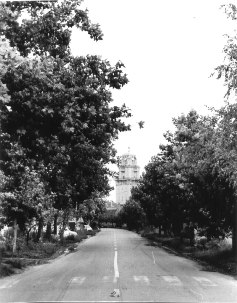 A zentai Árpád utca (régi nevén Belgrádi utca)