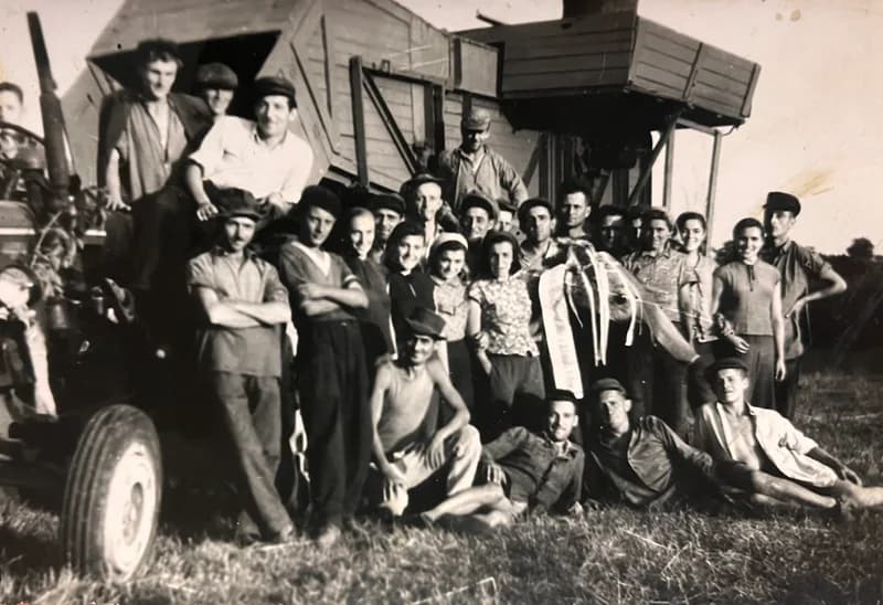 Munkások a cséplőgép mellett