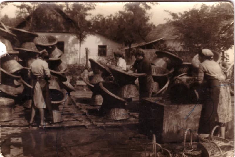 Lakkozás a kosárfonóban