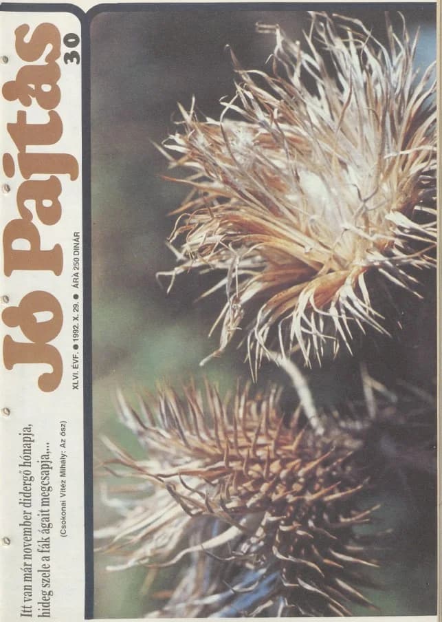 Jó Pajtás, 46. évf. 1992. október 29. 30. sz.