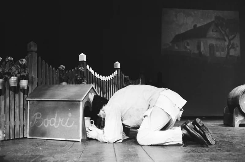 Tóth E.: A falu rossza, avagy a negyedik ablak /r.: Hernyák Gy./