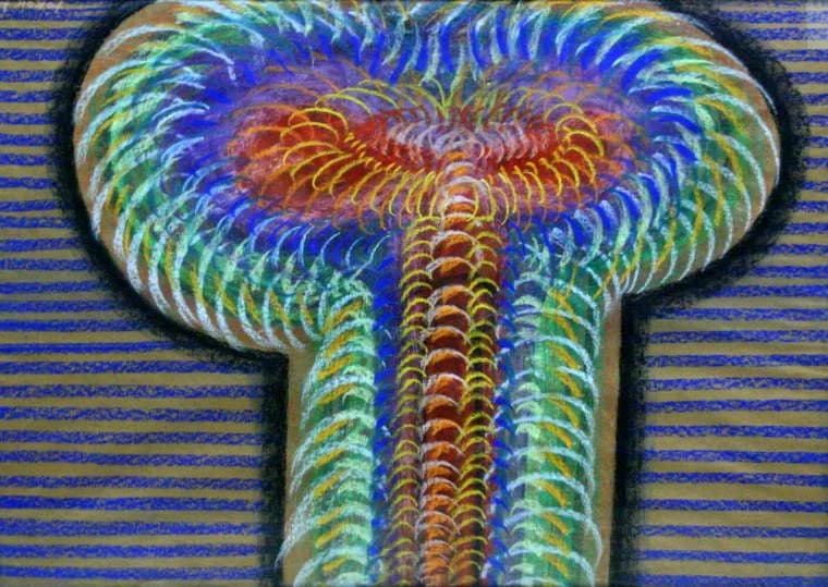 Evolúció a térben