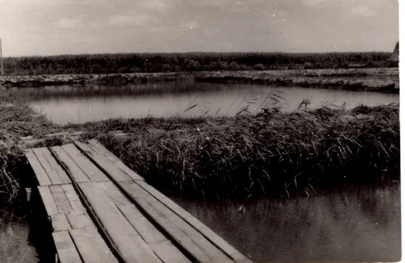 Az écskai halgazdaság