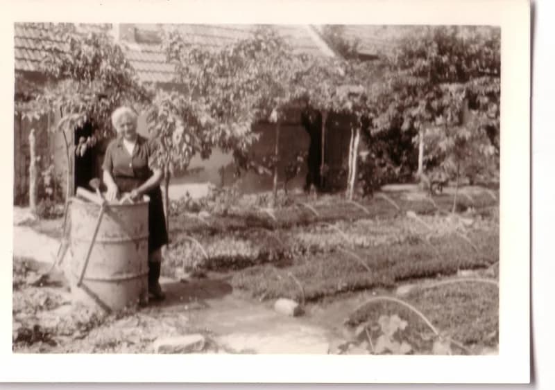 Palántáságyak locsolása