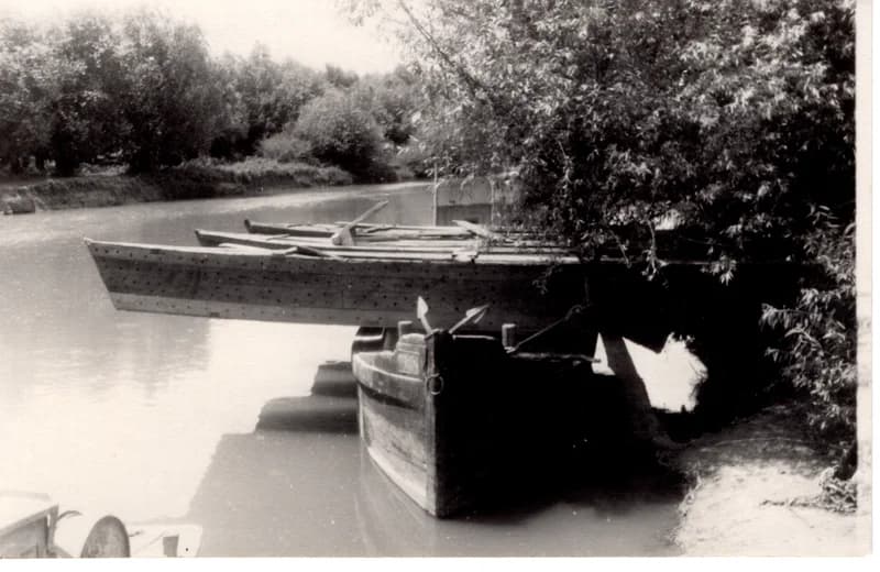 Az écskai halgazdaság - halszállító csónakok