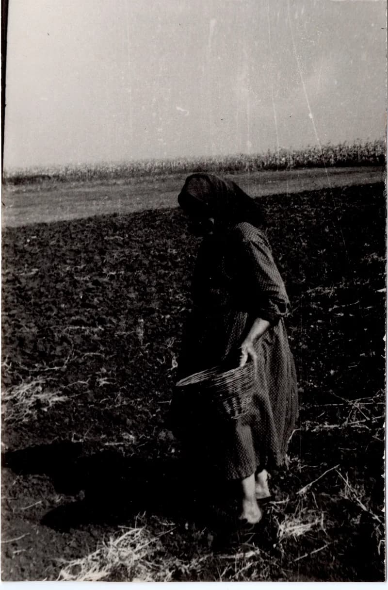 Krumplit böngésző asszony