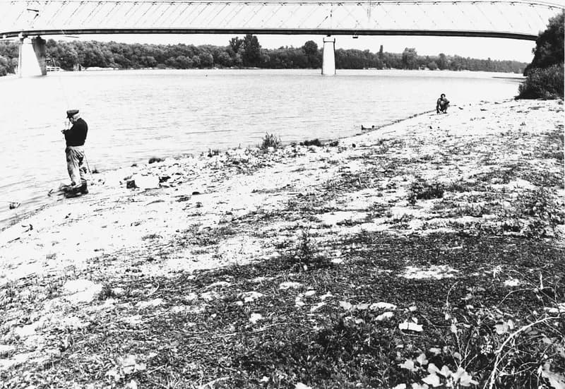 Fehér Ákos a zentai Tisza-parton