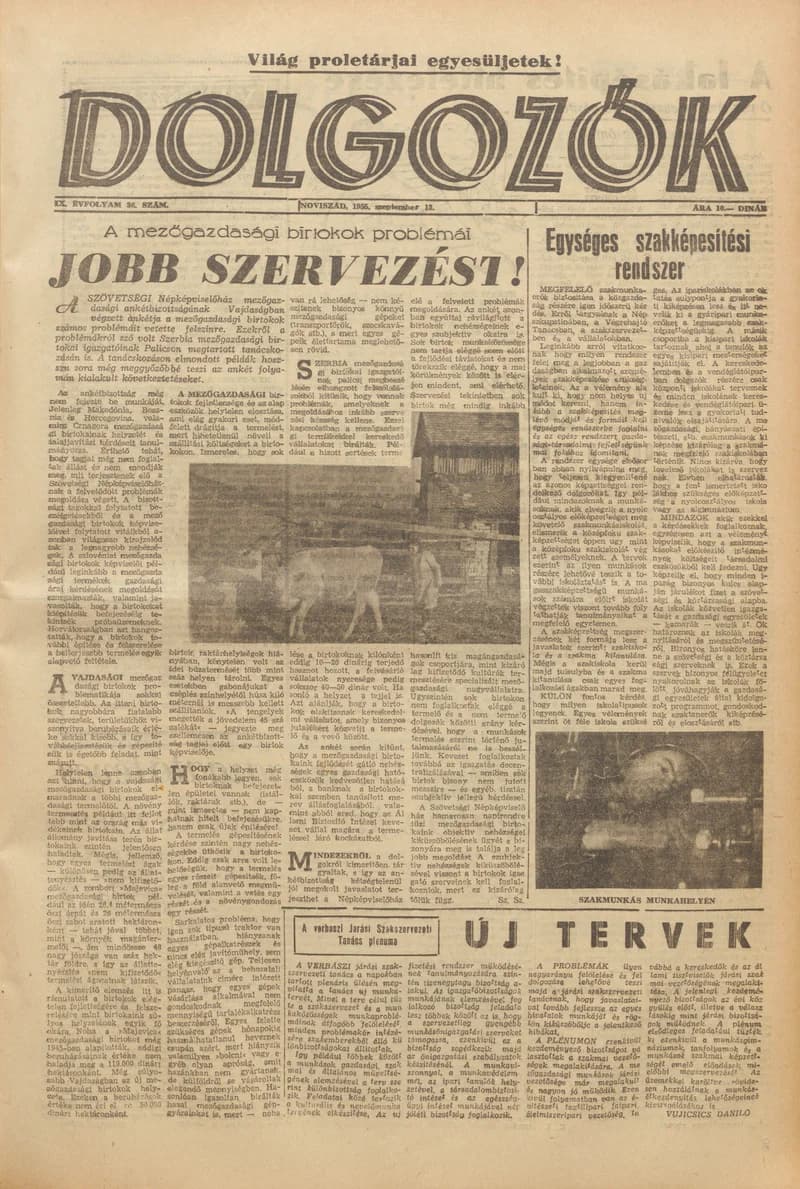 Dolgozók, 9. évf. 1955. szeptember 13. 36. sz.