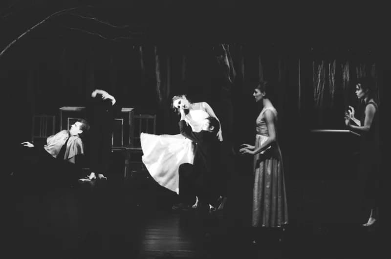 A Párizsi Jel Színház előadása: A hét rinocéroszbőr