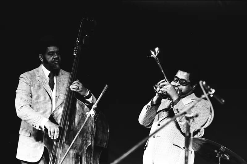 Newport '71 /Jazz Festival/