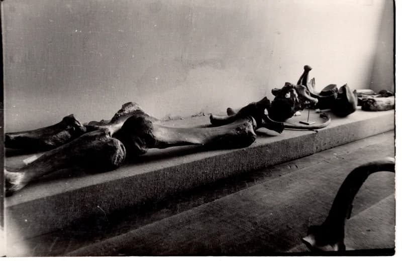 Kiállításrészlet - régészet