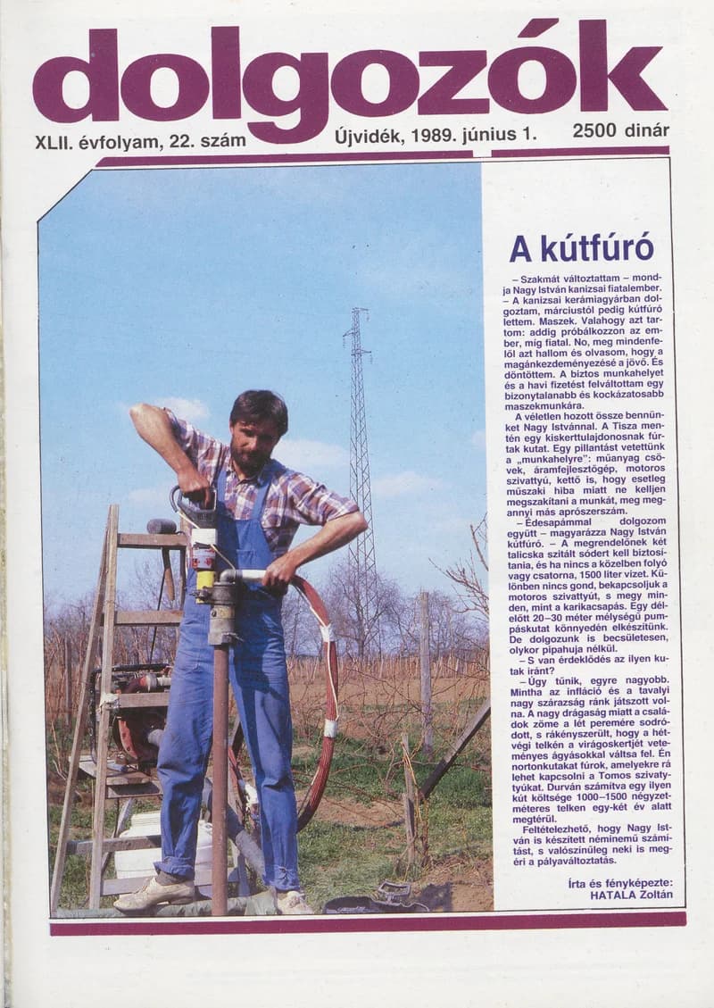 Dolgozók, 43. évf. 1989. június 1. 22. sz.
