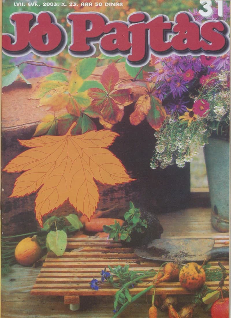 Jó Pajtás, 57. évf. 2003. október 23. 31. sz.