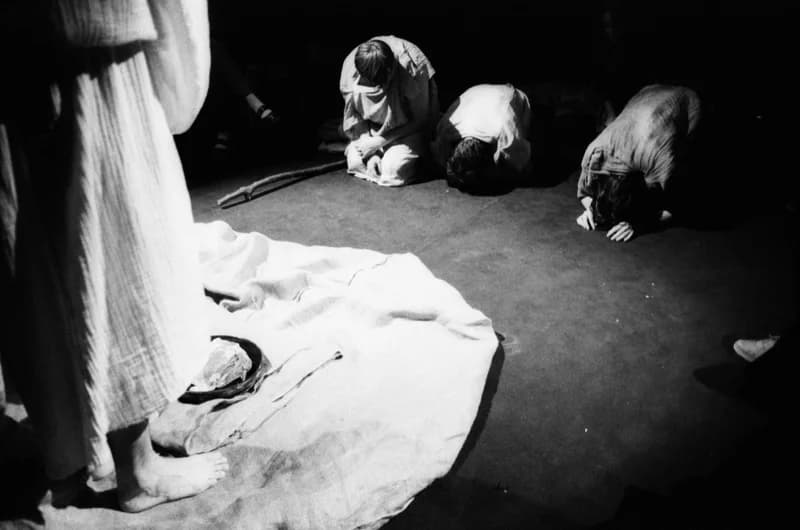 A. Miller: A világ teremtése, Újvidéki Színház bemutató