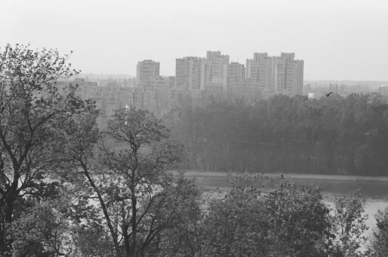 Újvidék, Liman városnegyed