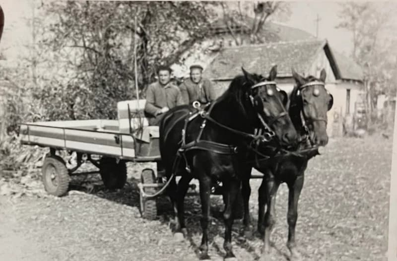 Lovaskocsival a tanyán 