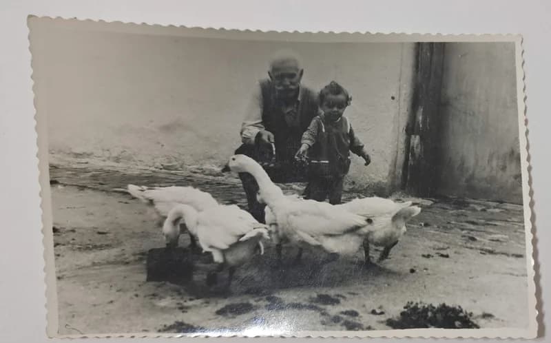 "Szerettem a libákra vigyázni"