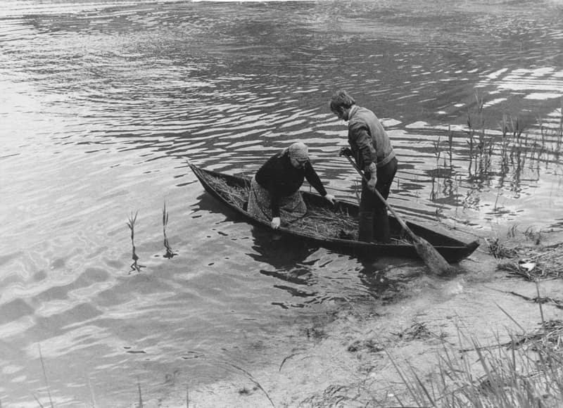 Csónakozók a Tiszán