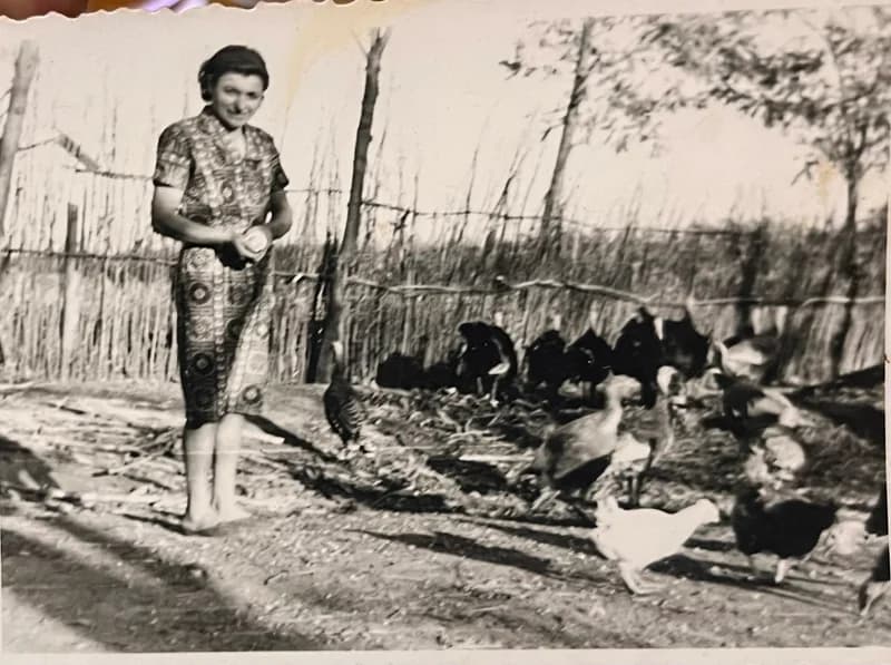 Baromfietetés a tanyán 