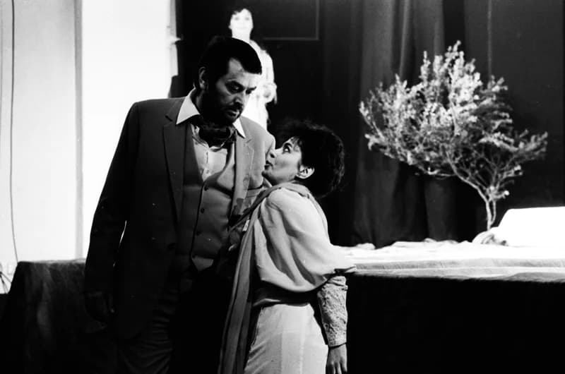 A Vajdasági Színházak Szemléje