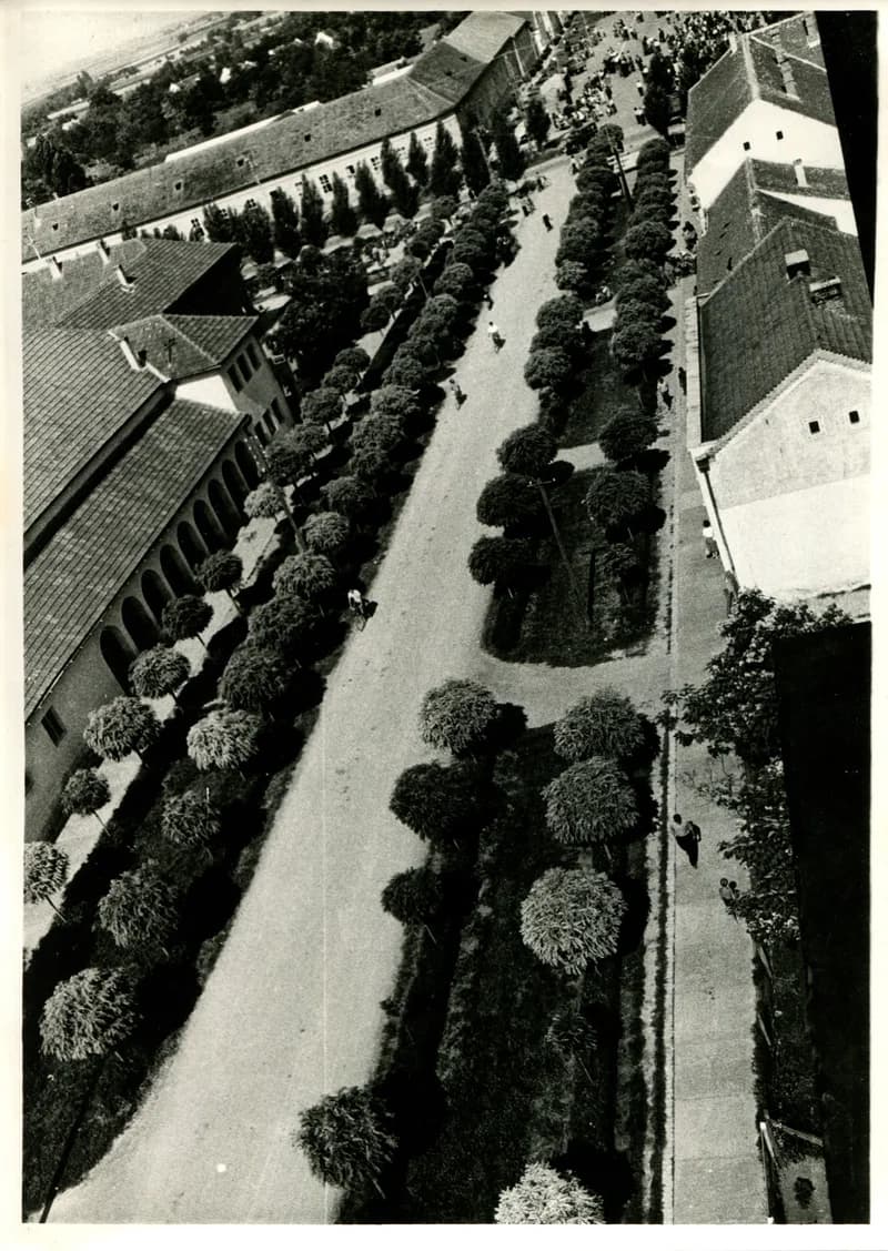 Temerin központj a tűzoltó toronyból