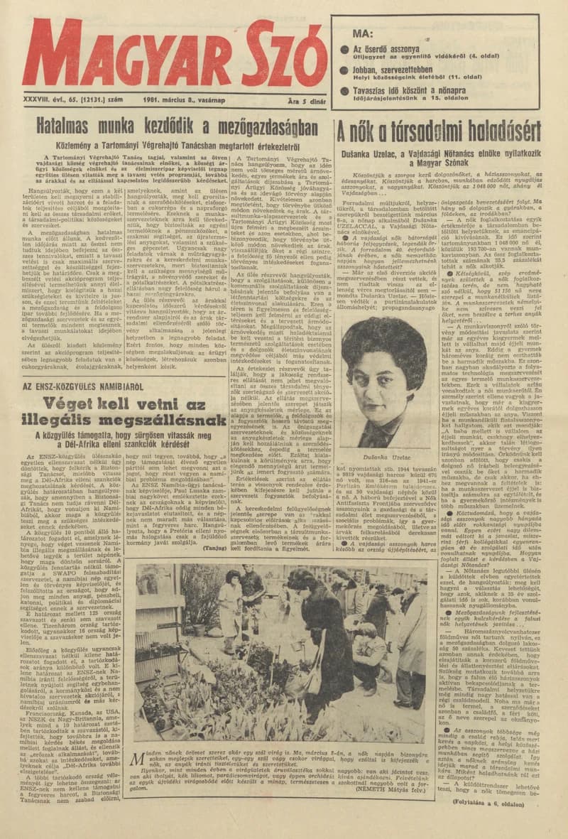 Magyar Szó, 38. évf. 1981. március 8. 65. sz.