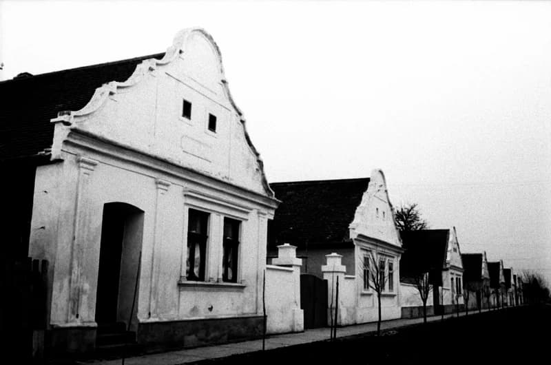 A Bartók Béla Művelődési Egyesületben