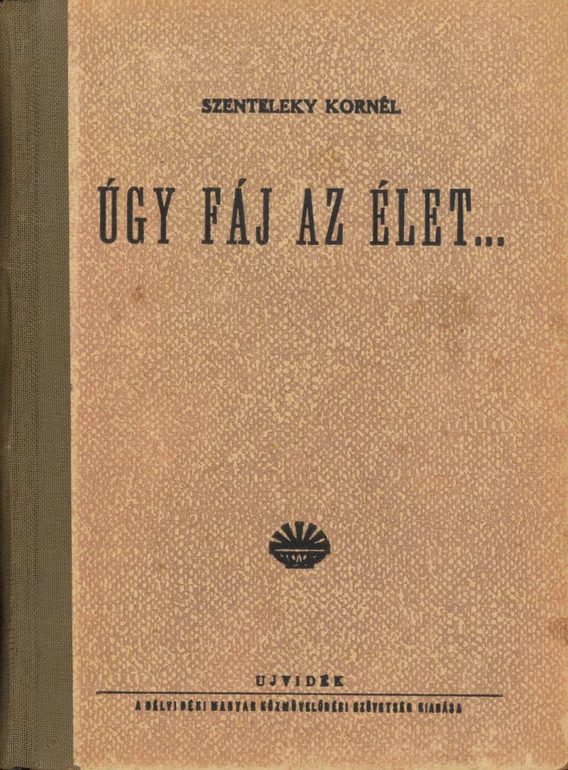 Úgy fáj az élet...