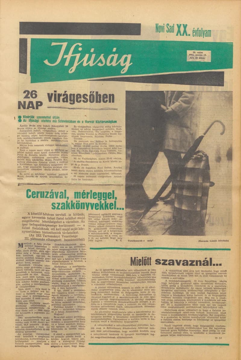 Ifjúság, 20. évf. 1964. május 14. 20. sz.