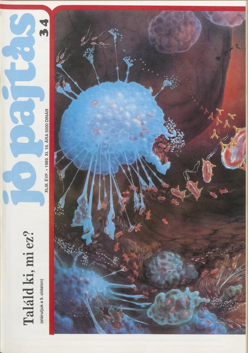 Jó Pajtás, 43. évf. 1989. november 16. 34. sz.