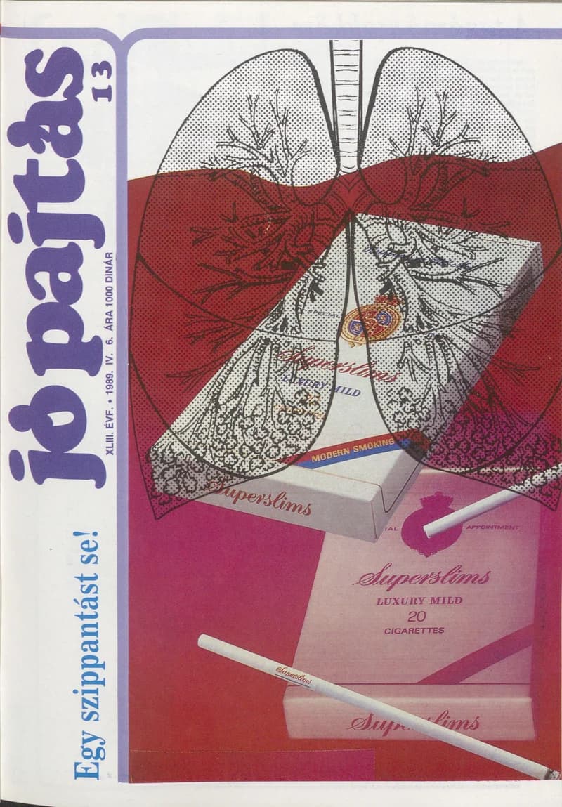 Jó Pajtás, 43. évf. 1989. április 6. 13. sz.