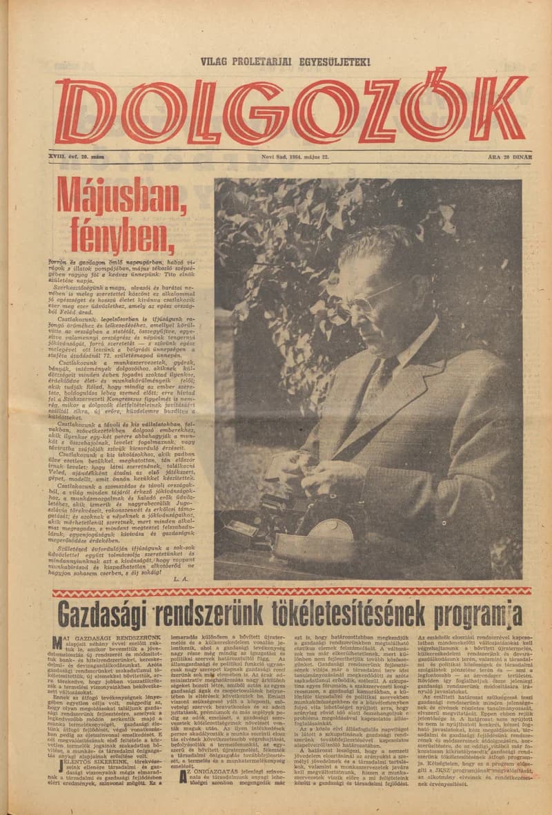 Dolgozók, 18. évf. 1964. május 22. 20. sz.